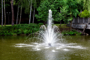 A fountain spraying a jet of water in a pond, in the background a shore with plants.