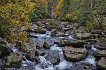 Beautiful river view at the Babcock State Park in West Virginia. Water flowing over large rocks during the autumn season.