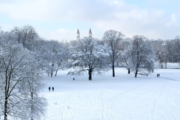 beautiful winter landscape with snowy trees in a park where people walk and blue sky
