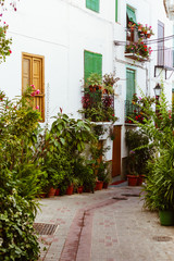 Fototapeta na wymiar White street with plants from southern Spain