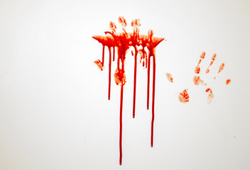 blood splatter   crime or victim concept