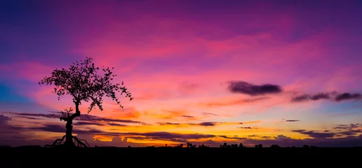 Sierkussen Amazing sunset and sunrise.Panorama silhouette tree in africa with sunset.Tree silhouetted against a setting sun.Dark tree on open field dramatic sunrise.Safari theme.Giraffes , Lion , Rhino. © Mohwet