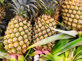 Many Pine Apples on shell in the fresh market.