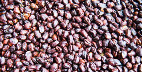 Closeup tamarind seeds reddish brown. Bring to dry in the sun for storage.Many black tamarind seeds lay on the ground.dry seeds of tamarind.For the wallpaper.