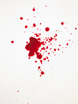 blood splatter   crime or victim concept