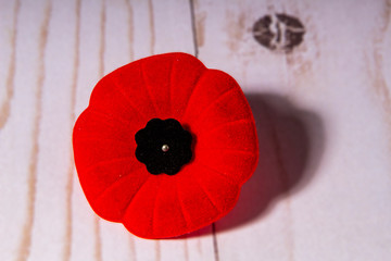 Remembrance Day Poppy Flower with a wooden Background