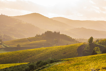 View of Chianti vineyards in autumn