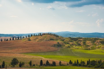 View of lush nature of the Crete Senesi, Asciano, Italy