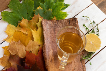 Cup of tea over different color autumn leaves