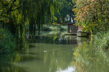 Fototapete bei efototapeten.de bestellen   