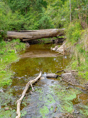 Watts River Low vert