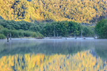 Obraz premium 上高地 大正池 長野県松本市 Kamikochi Taisho Pond Nagano Matsumoto city
