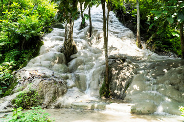 ฺBua Tong or Buatong Limestone waterfall in the jungle in Chiang Mai, Thailand. Limestone waterfall in the forest background