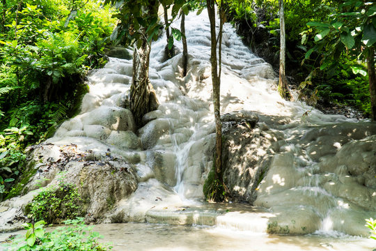ฺBua Tong or Buatong Limestone waterfall in the jungle in Chiang Mai, Thailand. Limestone waterfall in the forest background