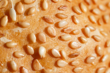 bread bun with sesame seeds isolated. macro photography 