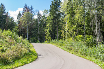 Fototapeta na wymiar Asphalt Roller skiing track in the middle of a green forest