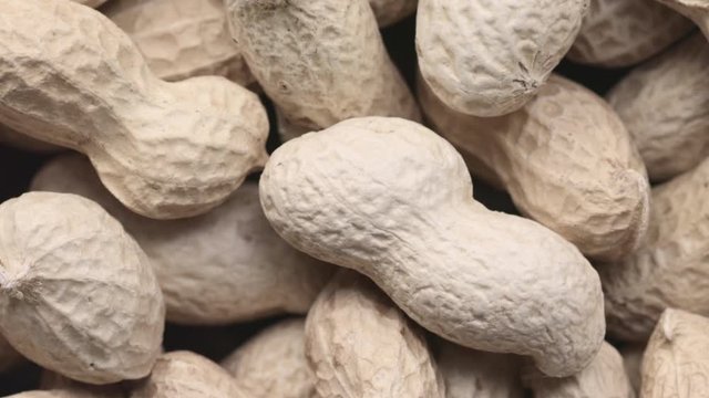 rotating pile of raw peanuts with shells