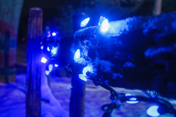 Blue Winter Lights on a Cedar Fence at Night