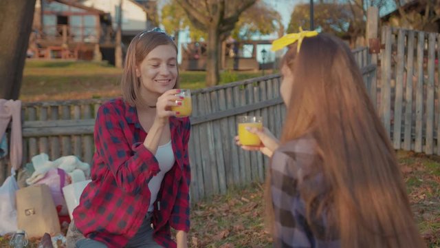 Young attractive girls toasting with glasses drinking tasty fresh juice on pleasant autumn picnic. On date two flirting girlfriends tasting juice looking at each other staying in the countryside.