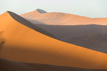 Fototapeta na wymiar Namibia Sand Dunes