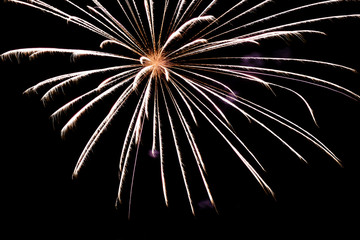 Firework lights in the dark sky