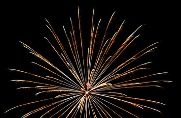Firework lights in the dark sky