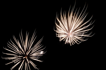 Firework lights in the dark sky