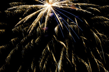 Firework lights in the dark sky