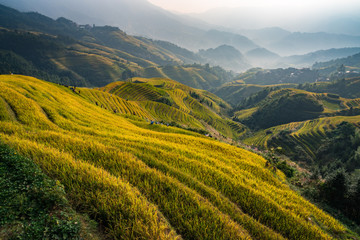 Fototapeta na wymiar Longji Rice Terraces in China Sunrise view