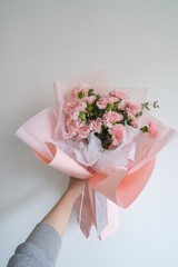 Woman hand hold pink carnation on white background..