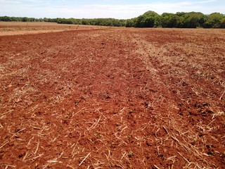 Terra gradiada