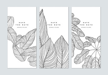 Set of botanical brochure cover template design, leaves line art ink drawing in black on white