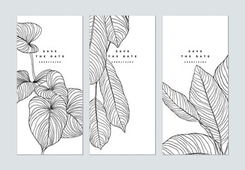 Set of botanical brochure cover template design, leaves line art ink drawing in black on white