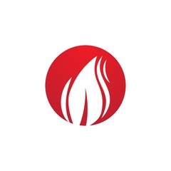 Fire flame Logo