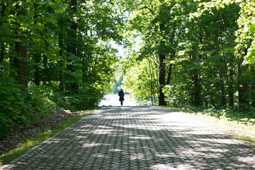 Girl walking on a footpath in a summer park.