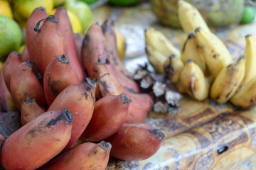 natural fresh picked red and yellow bananas  