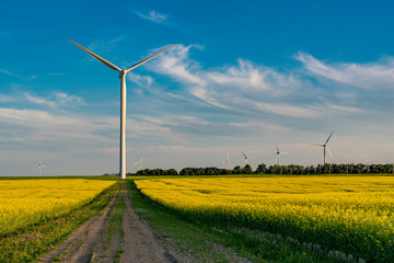 Wind turbine at the end of a road in the middle of a canola field in bloom 