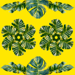 tropical exotic plant leaf,seamless background for textile and fabric design,isolated on yellow background