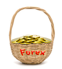 gold coins in wicker basket with write the word forex isolated on a white background