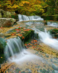 Waterfalls cascade in autumn forest. Beautiful colors of nature