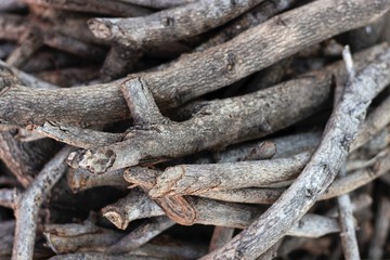 Piles of debris or dry wood which has been prepared as a material for bonfire for cooking and to increase warmth in winter.