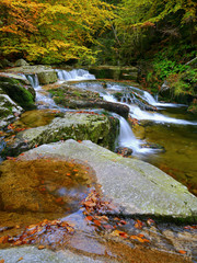 Waterfalls cascade in autumn forest. Beautiful colors of nature