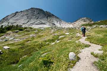 Fototapeta premium Yak and Nak peak hike in Coquihalla Summit Recreation Area