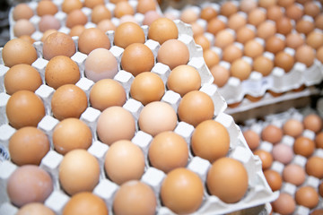 eggs in Chicken crate
