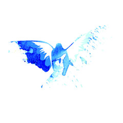 Fototapeta premium bird