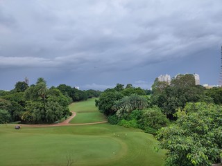landscape with trees and blue sky