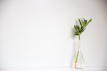 clear background and decored