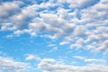 clouds of an average tier high cumulus, on a blue background of the sky