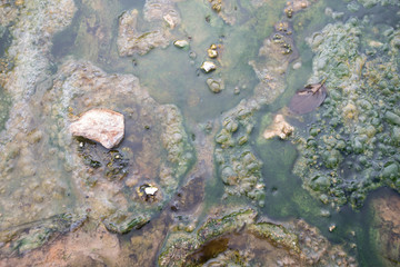 hot spring in thailand