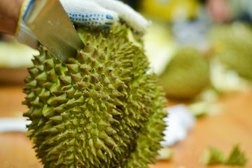 Stripping Durian By using a knife and gloves